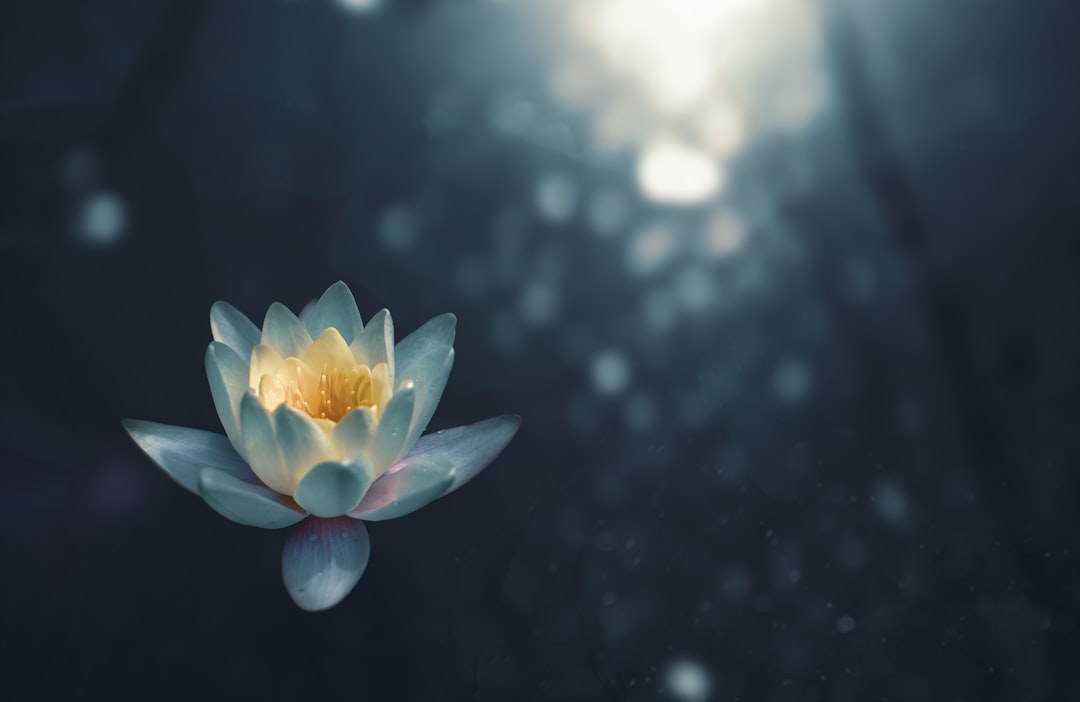 crown chakra opening symptoms