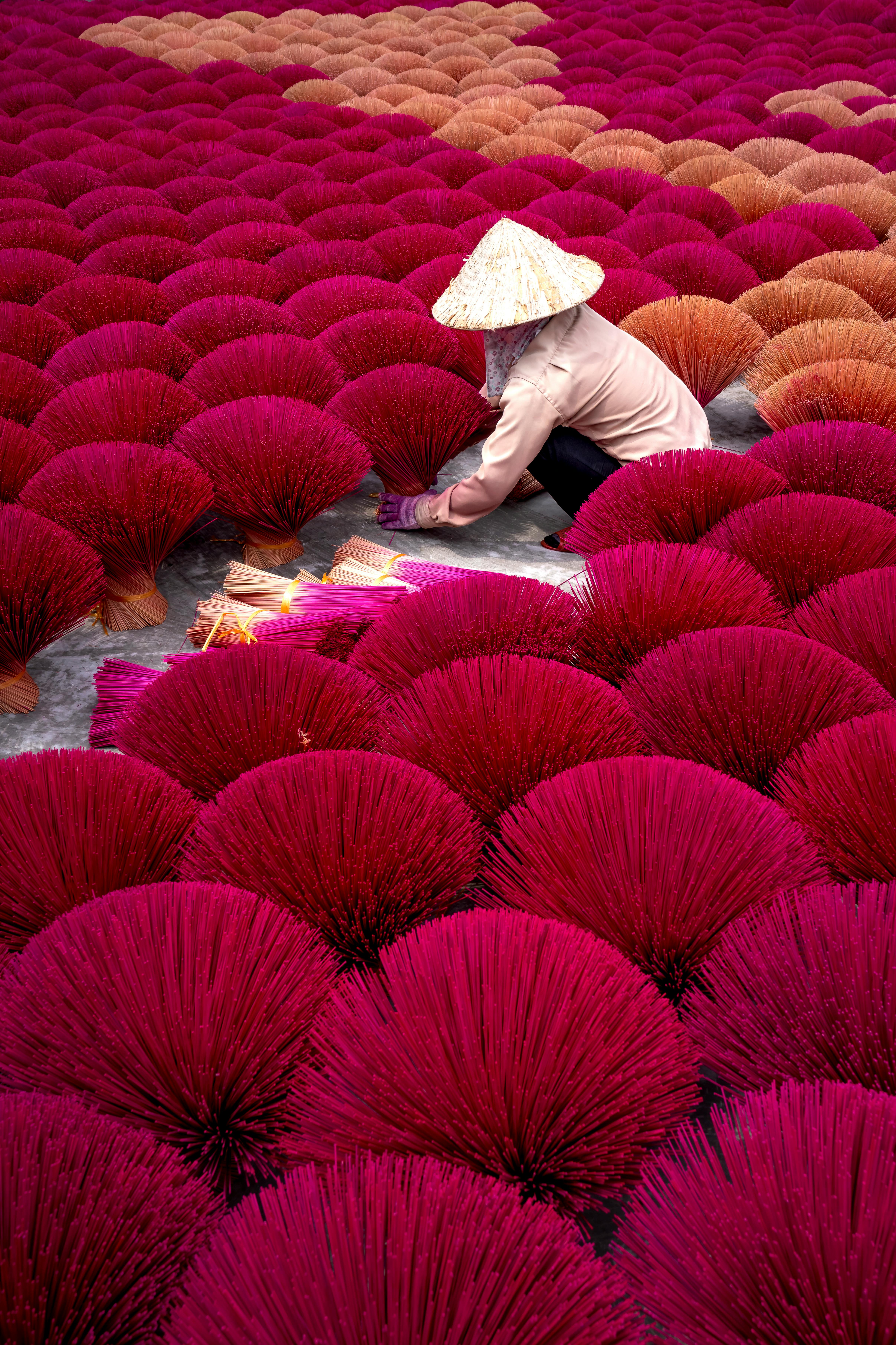 Woman arranges colorful incense sticks outdoors in a Vietnamese village, showcasing tradition.