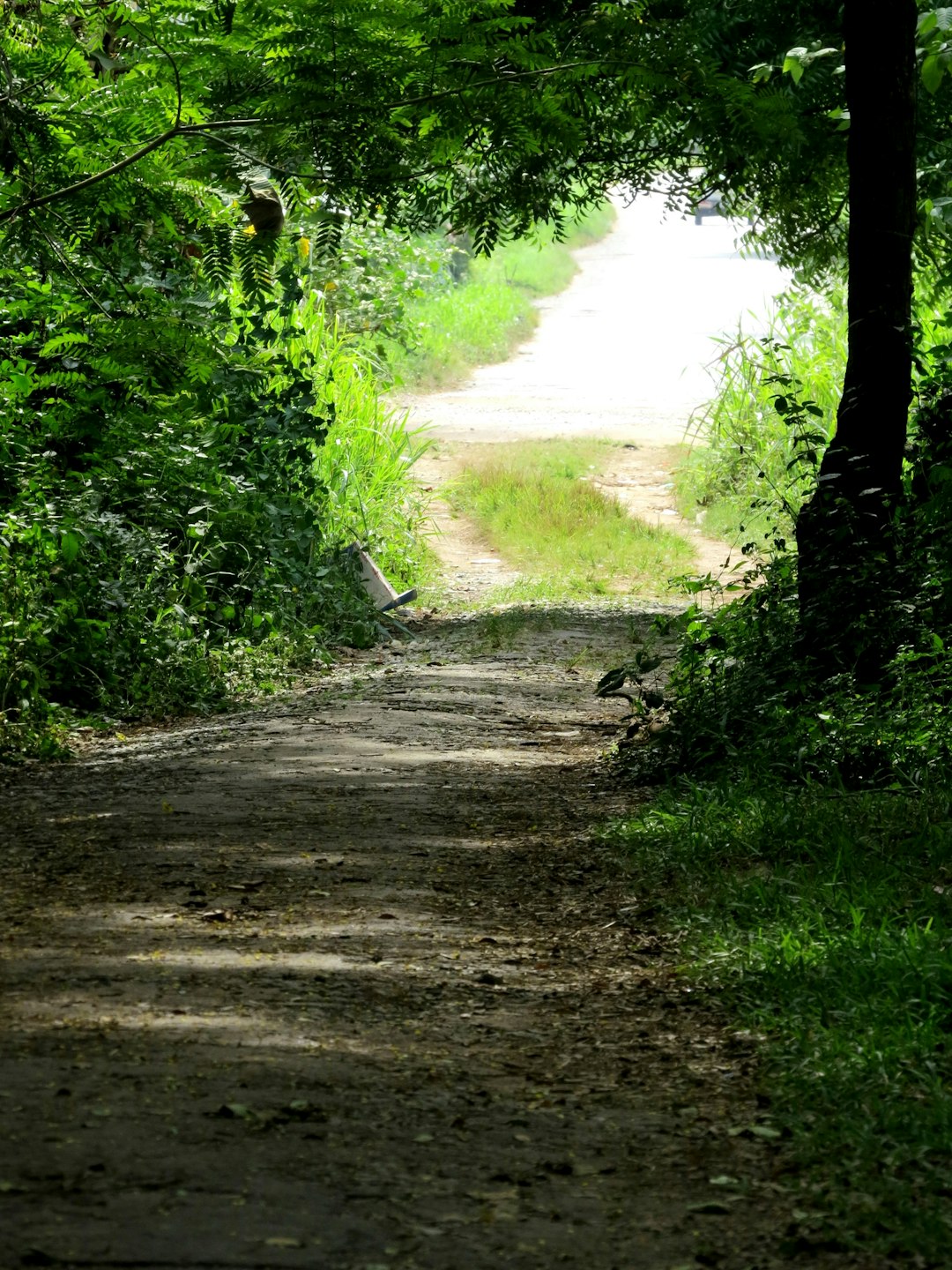 life path 8 celebrities