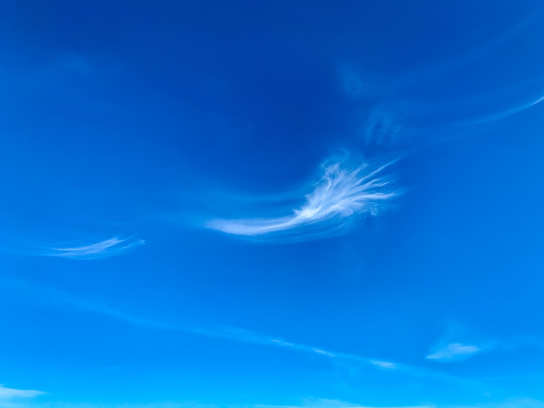 blue jay sign from heaven
