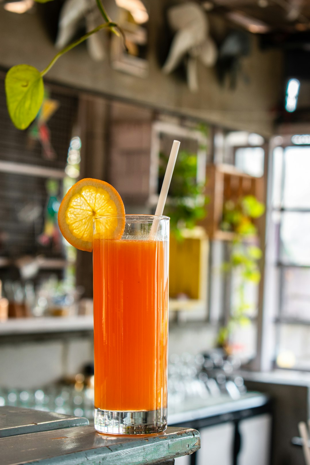 probiotic soda