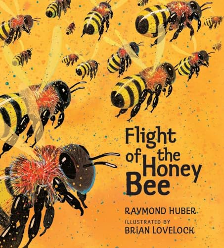 Flight of the Honey Bee by Raymond Huber, Illustrated by Brian Lovelock