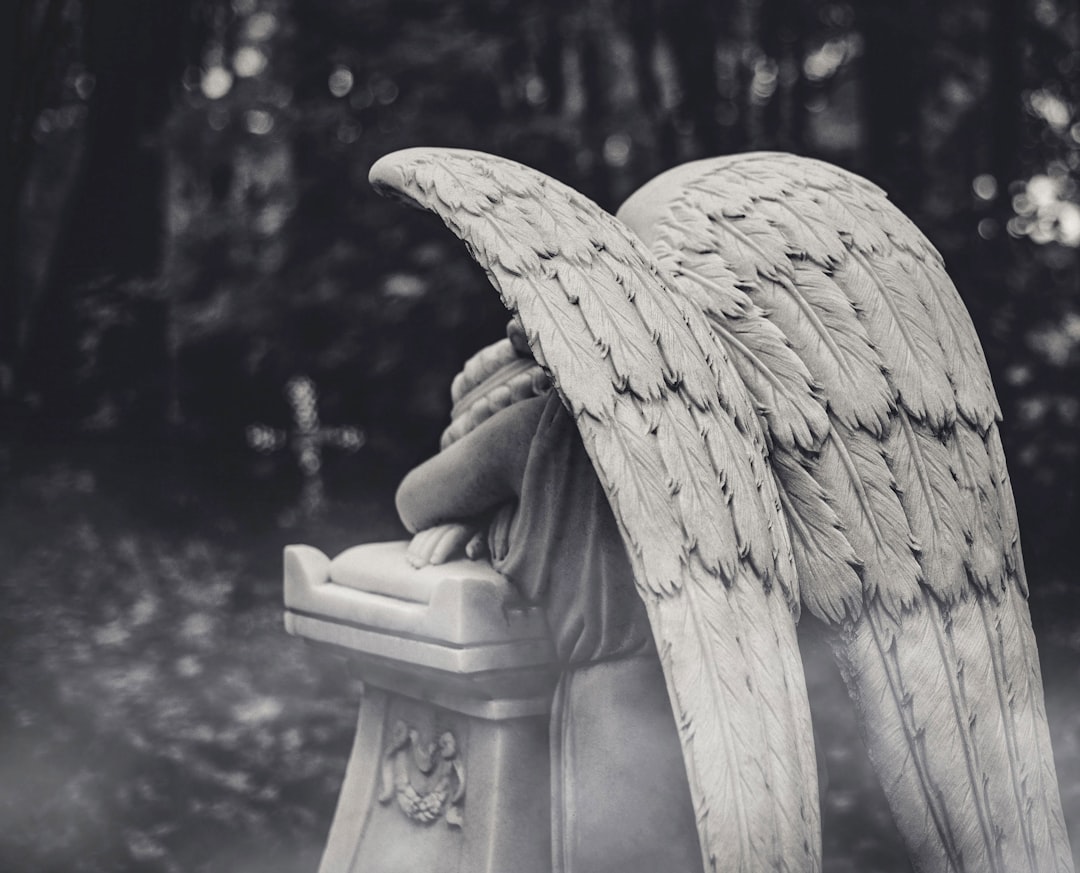 4242 angel number