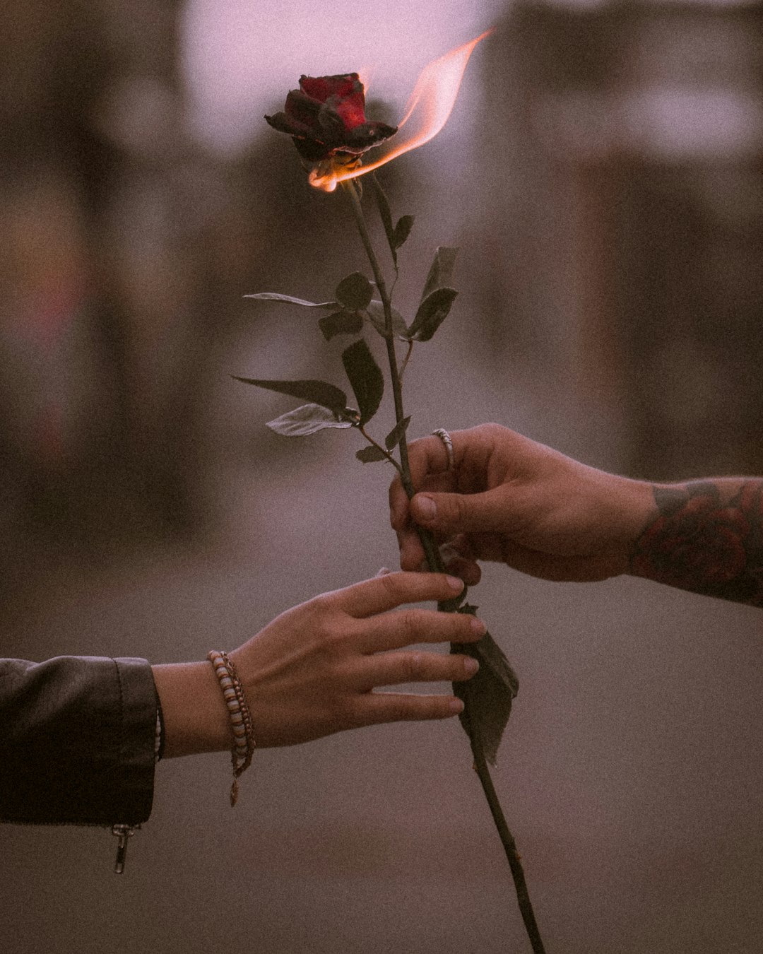 plutonic vs platonic relationship