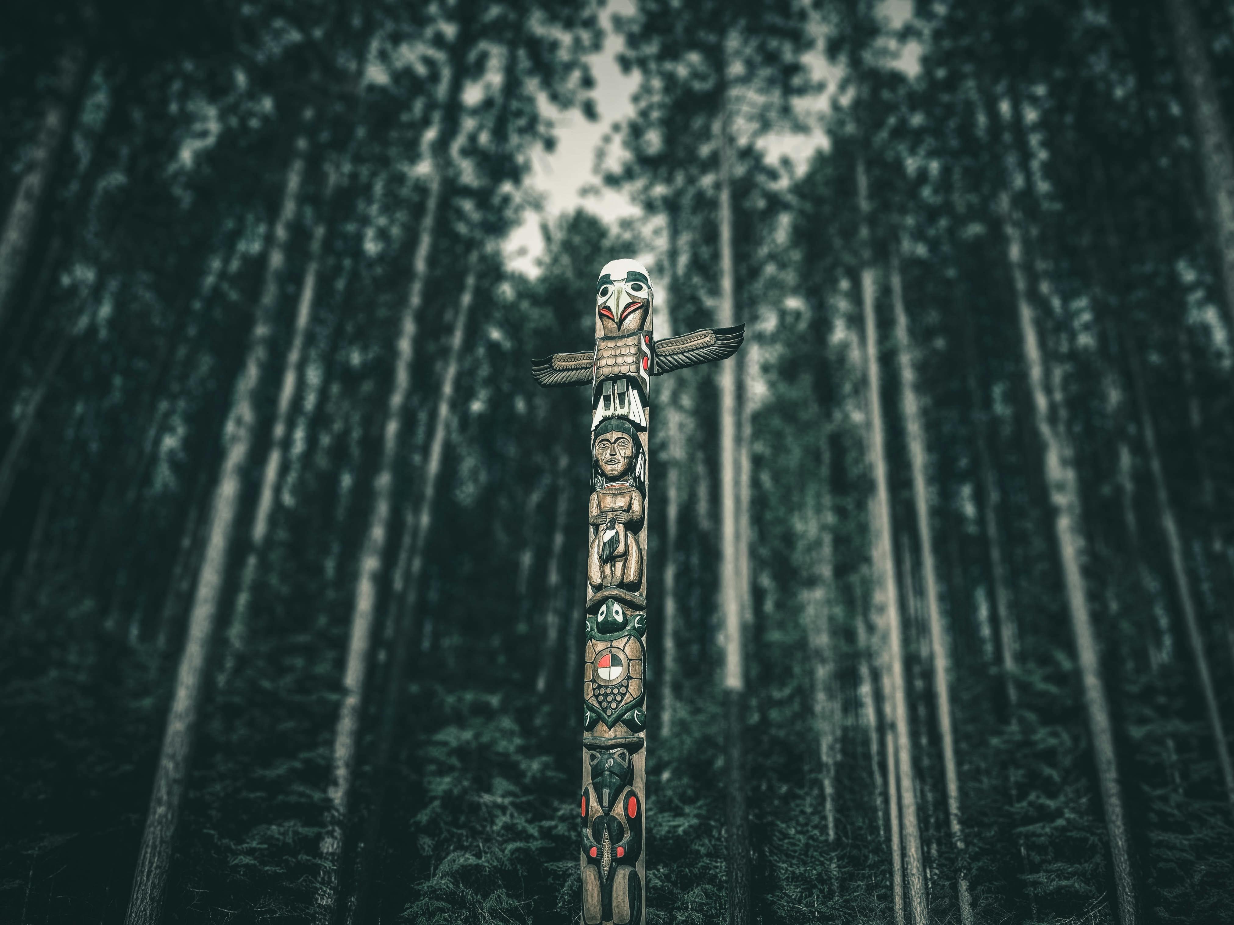 Carved totem pole stands amidst a dense Canadian forest, showcasing traditional indigenous artistry.