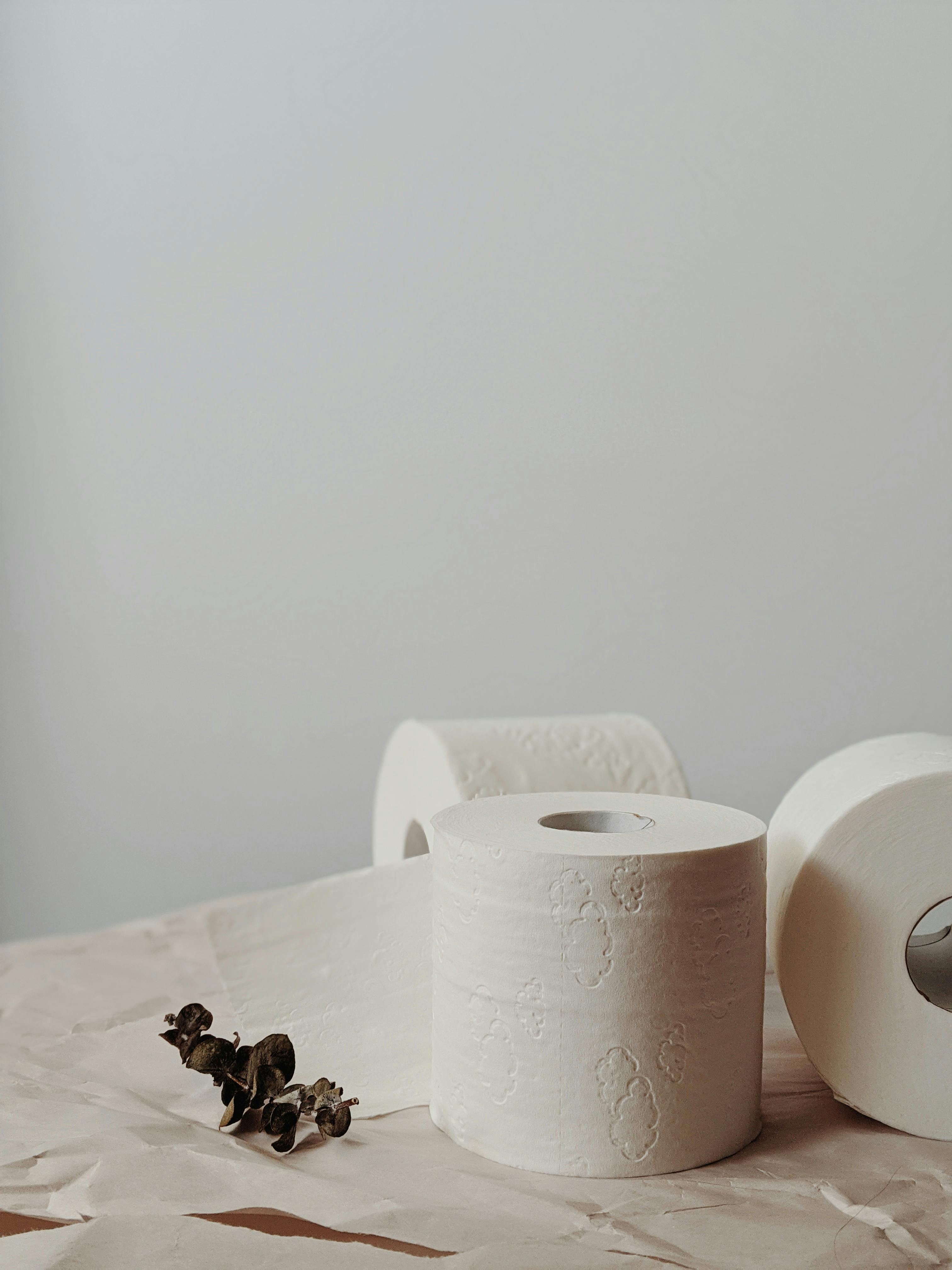 Elegant minimalist still life featuring toilet paper rolls with an eucalyptus branch.