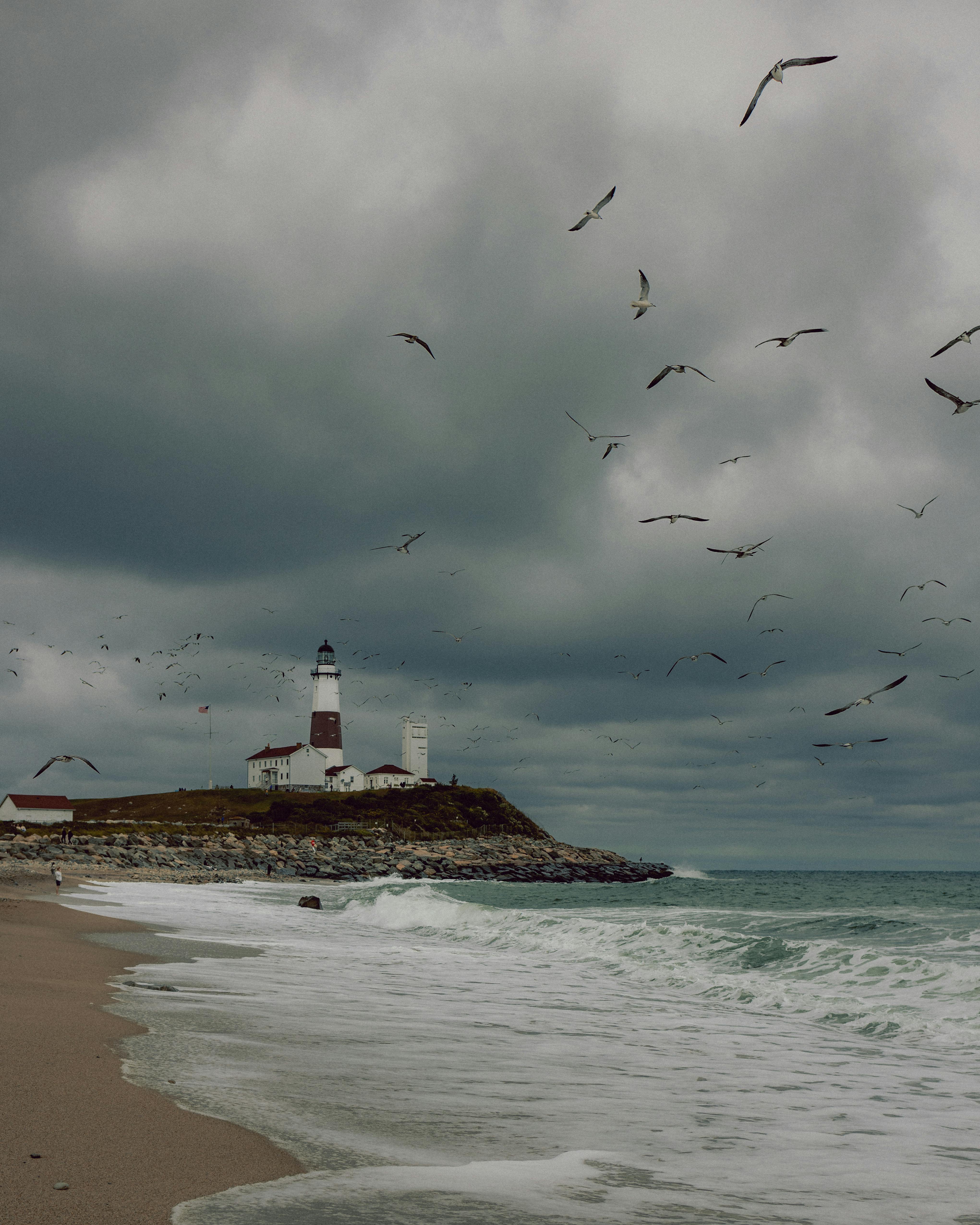 Lighthouse on a rocky shore with storm clouds and seagulls above.