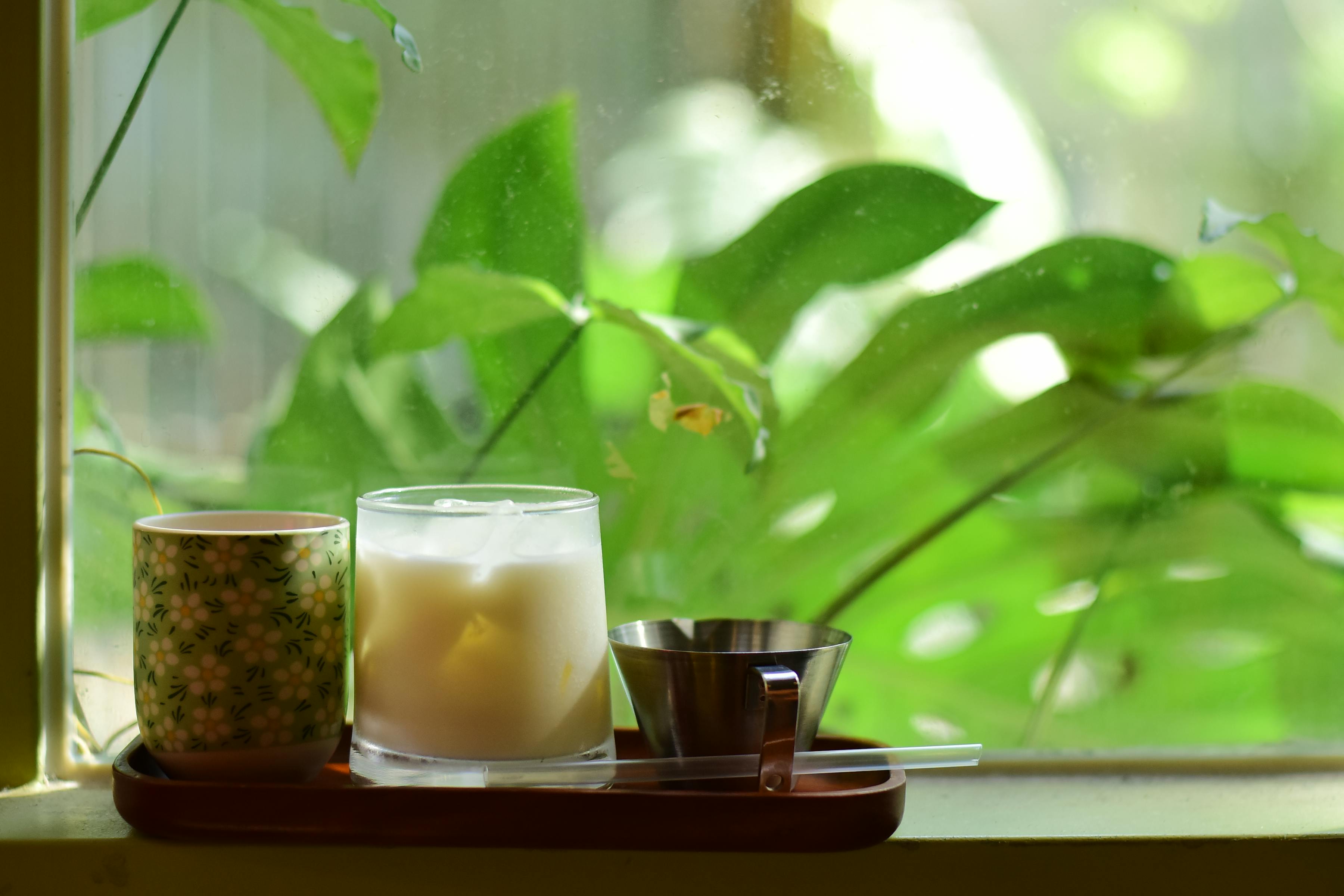 Serene scene with a cup of coffee and glass of milk by a sunlit window overlooking vibrant greenery.