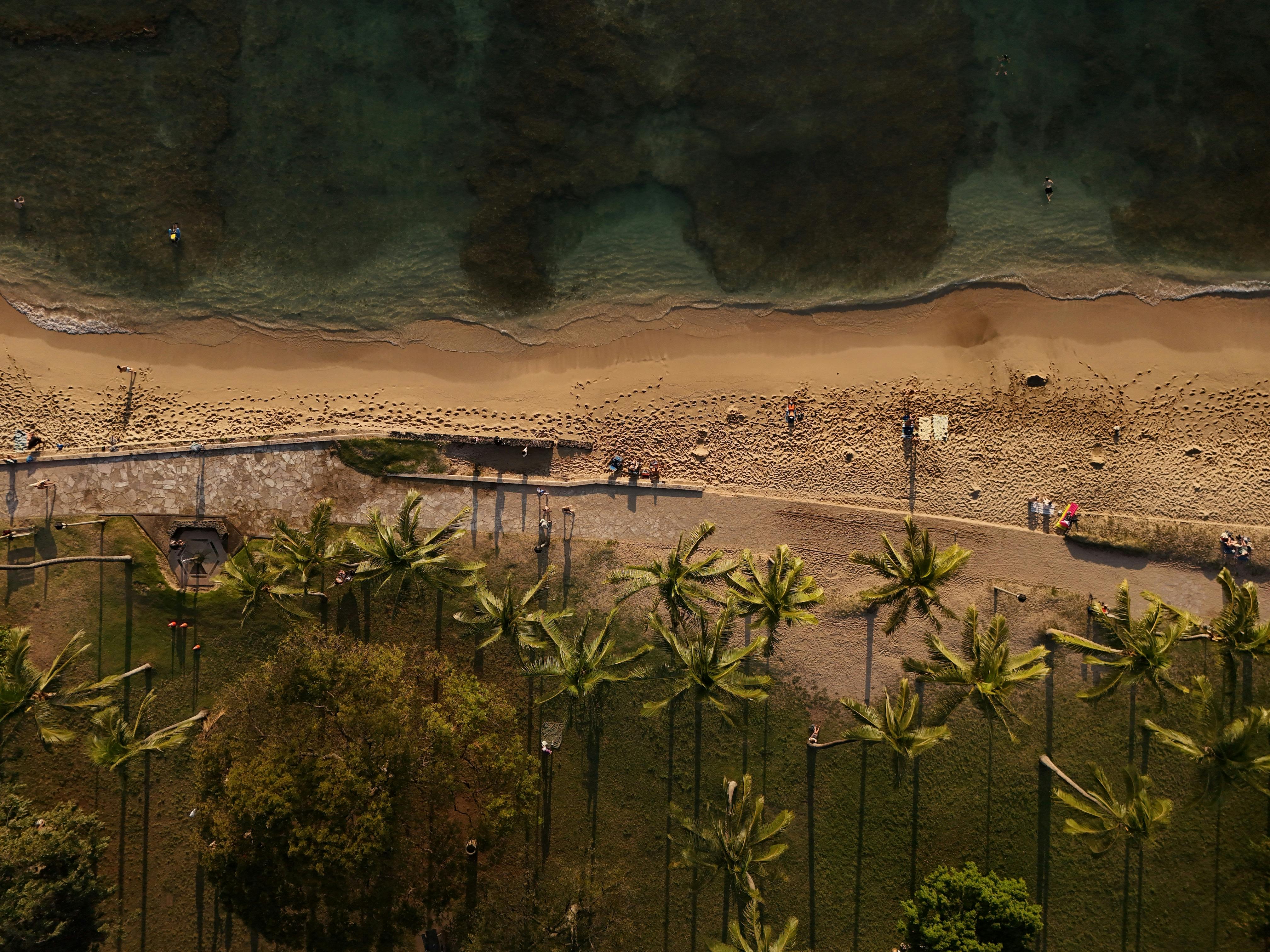 Stunning aerial view of Waikiki Beach in Honolulu, Hawaii, showcasing palm trees and pristine sand.
